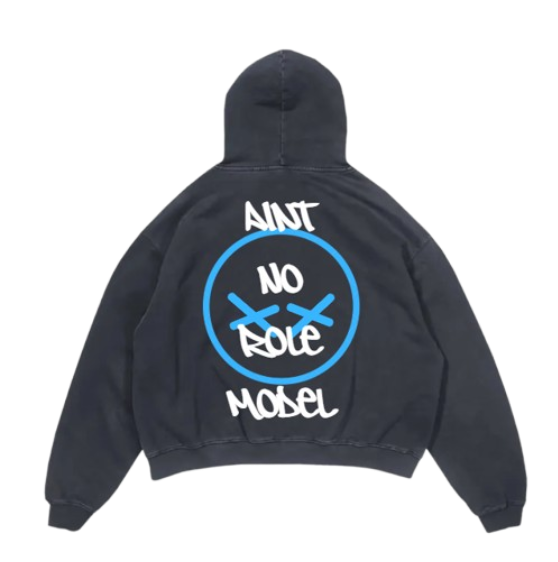 Aint No Role Model Hoodie